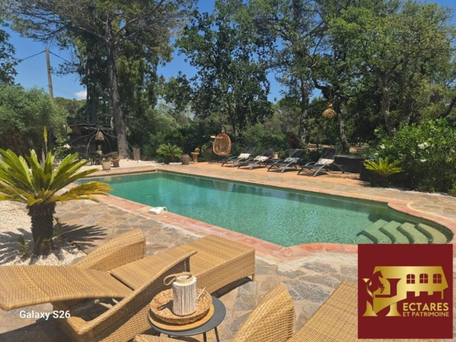 Photos 13 - Équestre - Propriété équestre de caractère  à Roquebrune sur Argens . Rare à la vente !