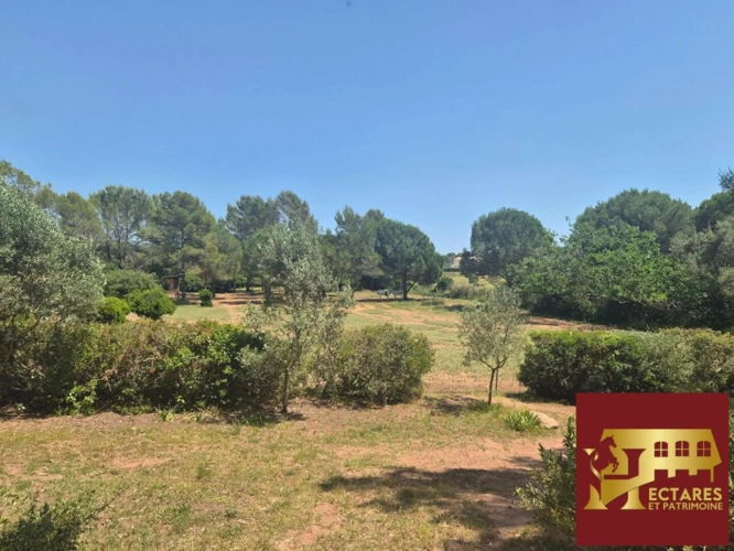 Photos 15 - Équestre - Propriété équestre de caractère  à Roquebrune sur Argens . Rare à la vente !