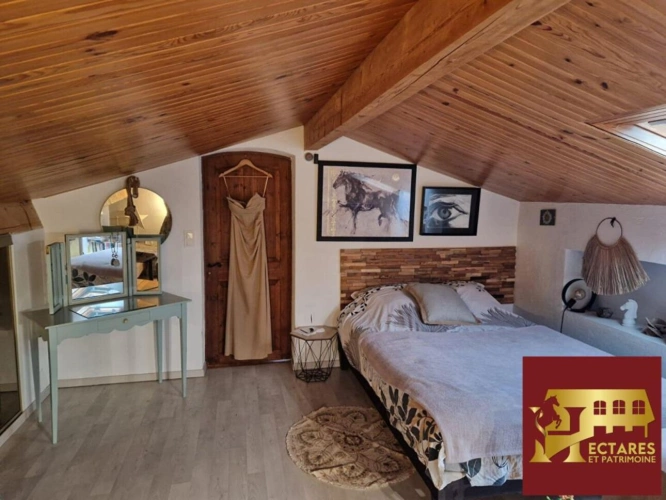 Photos 7 - Équestre - Propriété équestre de caractère  à Roquebrune sur Argens . Rare à la vente !