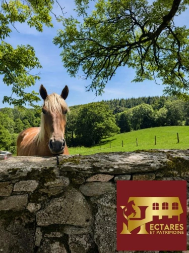 Photos 4 - Touristique - DOMAINE DE CARACTÈRE ET ACTIVITÉ TOURISTIQUE AU COEUR DU HAUT-QUERCY