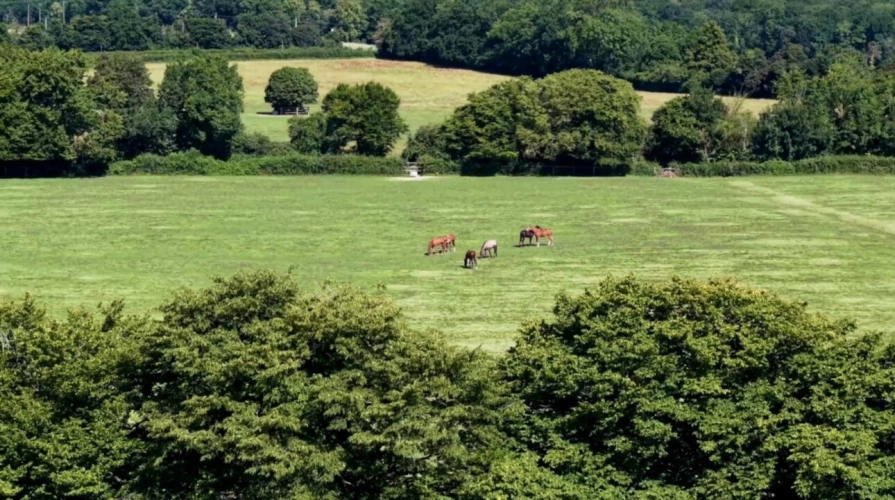 Photos 5 - Équestre - HARAS NORMAND SUR 73 HA