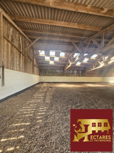 Photos 7 - Équestre - HARAS NORMAND SUR 73 HA