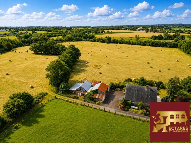 Photos 3 - Équestre - Propriété équestre sur 12 hectares d'un seul tenant maison 90m2 et dépendances