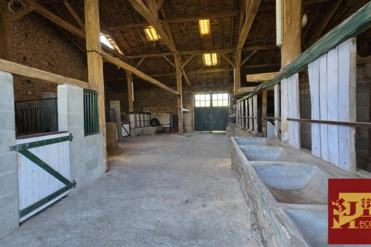 Photos 9 - Équestre - ANCIEN MONASTERE de 214 m2 sur 50 ha - Idéal élevage chevaux -