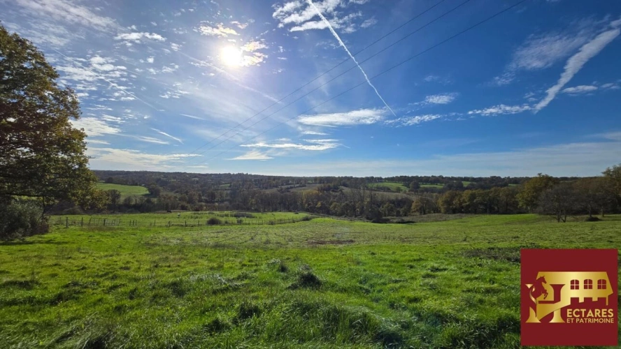 Photos 5 - Équestre - ANCIEN MONASTERE de 214 m2 sur 50 ha - Idéal élevage chevaux -