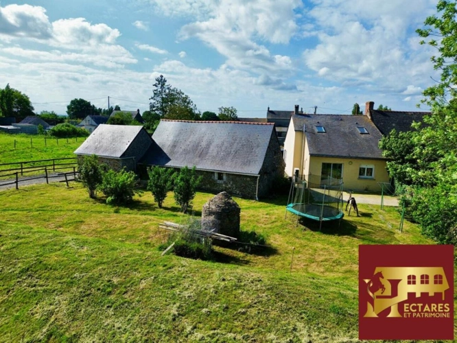 Photos 2 - Équestre - Maison 97 m2, 4,5 hectares