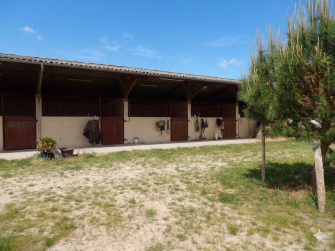 Photos 1 - Équestre - Centre d'entraînement clé en main à Créon d'Armagnac