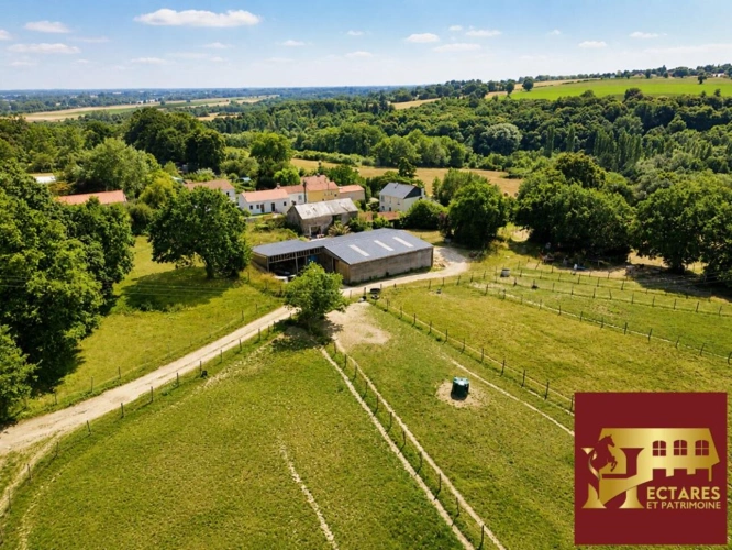 Photos 9 - Équestre - PROPRIÉTÉ ÉQUESTRE SUR 10 HECTARES  ÉCURIE 8 BOXES  CARRIÈRE