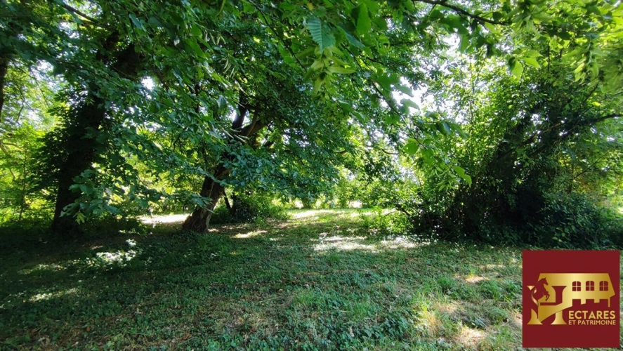 Photos 14 - Rurale - Propriété de caractère à Rénover
