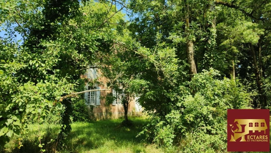 Photos 10 - Rurale - Propriété de caractère à Rénover