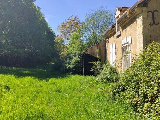 Photos 1 - Forestière - Dans le Perche à proximité de Bellême, propriété de 9 hectares, en pleine nature.