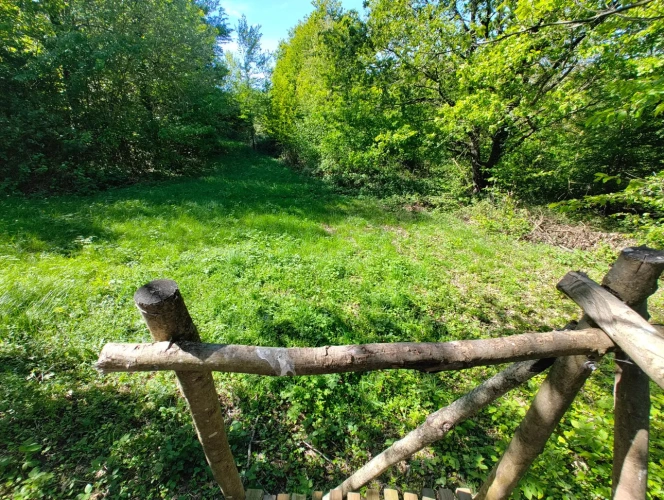 Photos 7 - Forestière - Dans le Perche à proximité de Bellême, propriété de 9 hectares, en pleine nature.