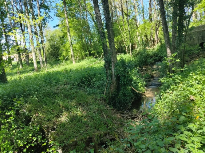 Photos 10 - Forestière - Dans le Perche à proximité de Bellême, propriété de 9 hectares, en pleine nature.