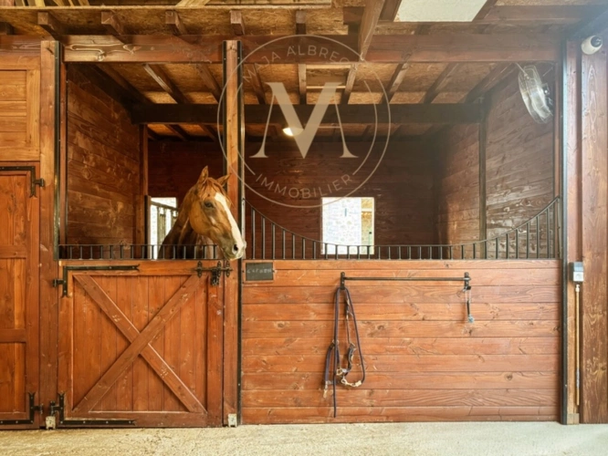 Photos 2 - Équestre - Propriété d’exception où chaque détail a été pensé pour le cheval… et pour ceux qui l’aiment proche de LAPLUME (47)