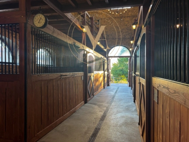 Photos 5 - Équestre - Propriété d’exception où chaque détail a été pensé pour le cheval… et pour ceux qui l’aiment proche de LAPLUME (47)