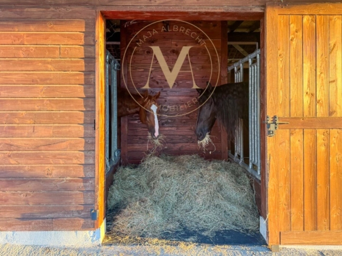 Photos 20 - Équestre - Propriété d’exception où chaque détail a été pensé pour le cheval… et pour ceux qui l’aiment proche de LAPLUME (47)