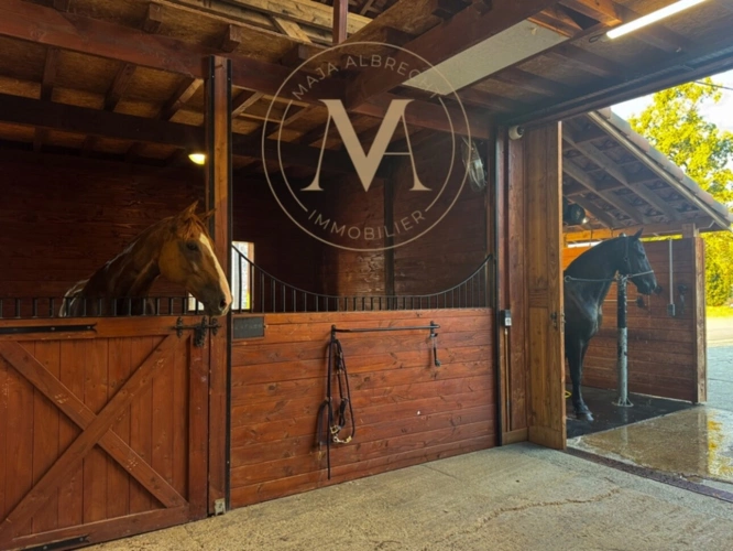 Photos 24 - Équestre - Propriété d’exception où chaque détail a été pensé pour le cheval… et pour ceux qui l’aiment proche de LAPLUME (47)