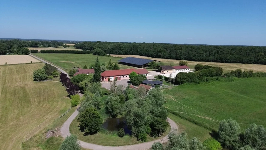 Photos 2 - Équestre - Domaine équestre + de 39 hectares