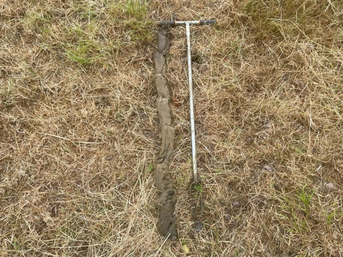 Photos 2 - Forestière - Peupleraie de 85 ha à reconstituer dans le Cher