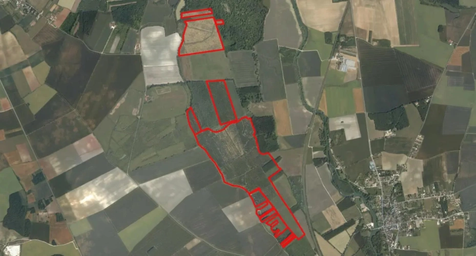 Photos 4 - Forestière - Peupleraie de 85 ha à reconstituer dans le Cher