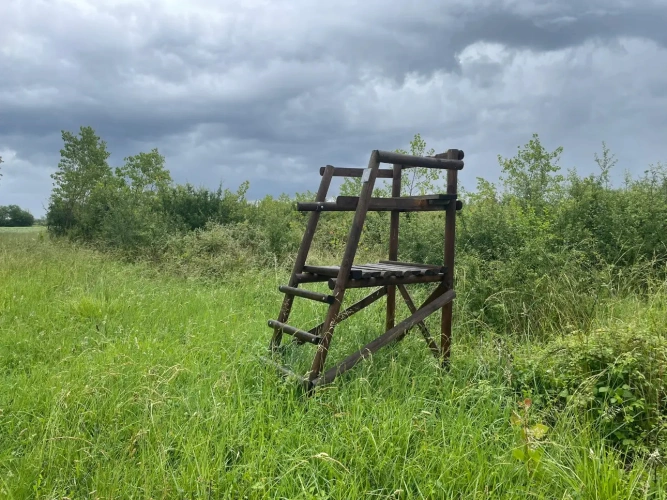 Photos 9 - Forestière - Peupleraie de 85 ha à reconstituer dans le Cher