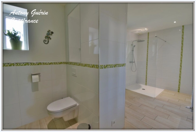 Photos 6 - Rurale - Grange rénovée de caractère avec dépendance 9 pièces-252 m² Habitable-MESNARD LA BAROTIERE