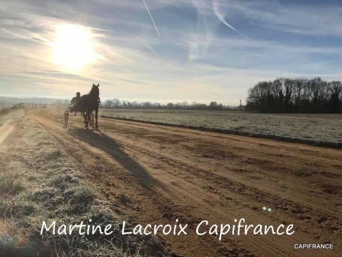 Photos 13 - Équestre - Dpt SARTHE (72), à vendre LA FERTÉ-BERNARD - PROPRIÉTÉ  P5 de 100 m² - Terrain de 10 Ha