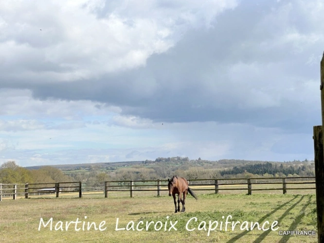 Photos 16 - Équestre - Dpt SARTHE (72), à vendre LA FERTÉ-BERNARD - PROPRIÉTÉ  P5 de 100 m² - Terrain de 10 Ha