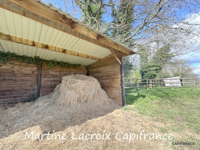 Photos 19 - Équestre - Dpt SARTHE (72), à vendre LA FERTÉ-BERNARD - PROPRIÉTÉ  P5 de 100 m² - Terrain de 10 Ha