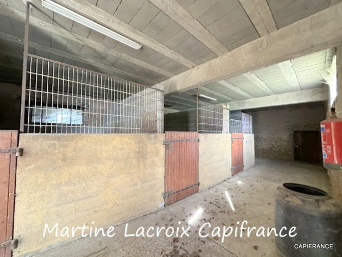 Photos 31 - Équestre - Dpt SARTHE (72), à vendre LA FERTÉ-BERNARD - PROPRIÉTÉ  P5 de 100 m² - Terrain de 10 Ha