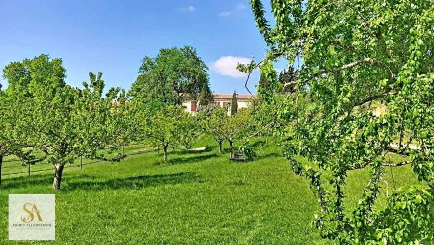 Photos 26 - Équestre - Domaine de caractère de 304 m² sur plus de 60 hectares d’un seul tenant – Entre nature, élégance et art de vivre
