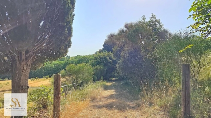 Photos 18 - Équestre - Domaine de caractère de 304 m² sur plus de 60 hectares d’un seul tenant – Entre nature, élégance et art de vivre