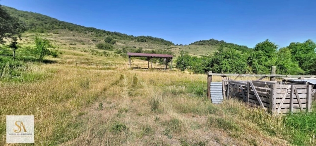 Photos 19 - Équestre - Domaine de caractère de 304 m² sur plus de 60 hectares d’un seul tenant – Entre nature, élégance et art de vivre