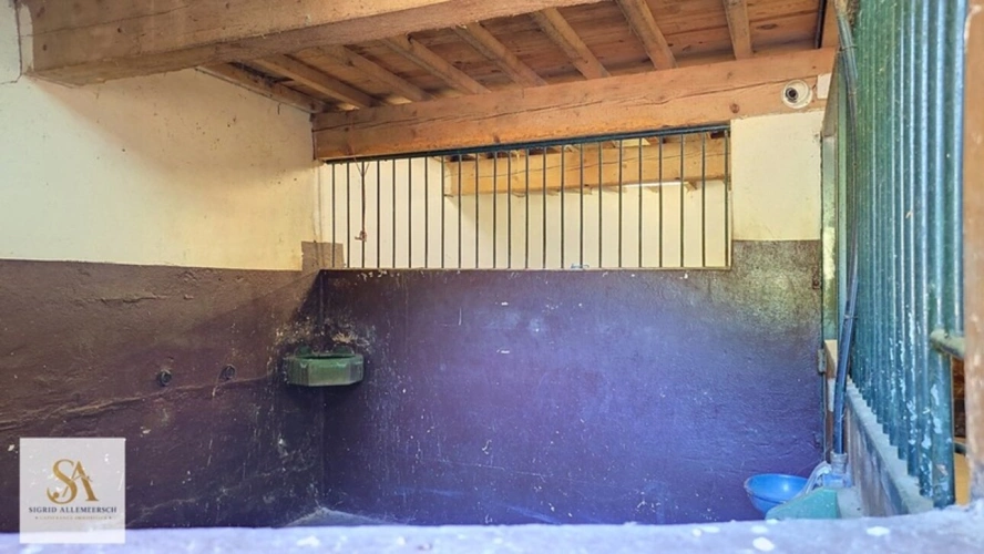 Photos 22 - Équestre - Domaine de caractère de 304 m² sur plus de 60 hectares d’un seul tenant – Entre nature, élégance et art de vivre