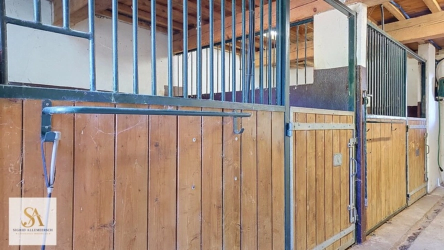Photos 23 - Équestre - Domaine de caractère de 304 m² sur plus de 60 hectares d’un seul tenant – Entre nature, élégance et art de vivre