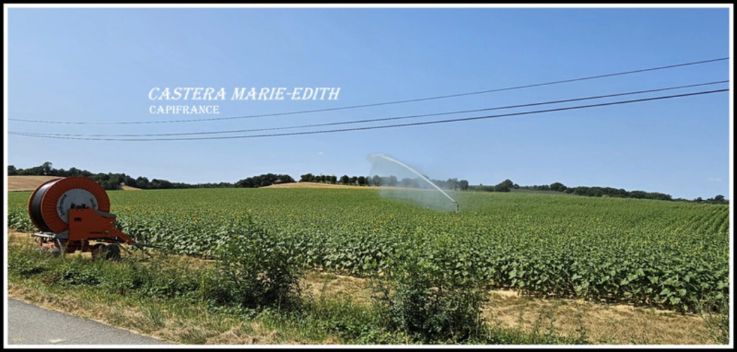 Photos 2 - Prestige - Dpt Gers (32), à vendre proche AUCH - propriété agricole - 145 Hectares avec LAC et 860 M² de bâtiments