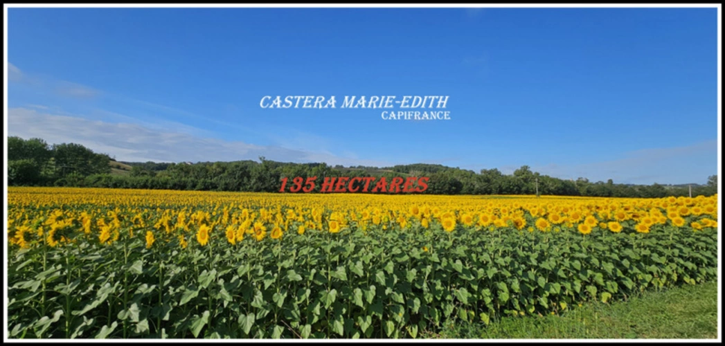 Photos 3 - Prestige - Dpt Gers (32), à vendre proche AUCH - propriété agricole - 145 Hectares avec LAC et 860 M² de bâtiments