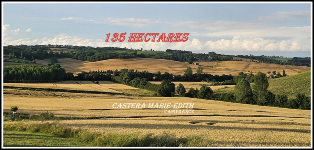 Photos 6 - Prestige - Dpt Gers (32), à vendre proche AUCH - propriété agricole - 145 Hectares avec LAC et 860 M² de bâtiments