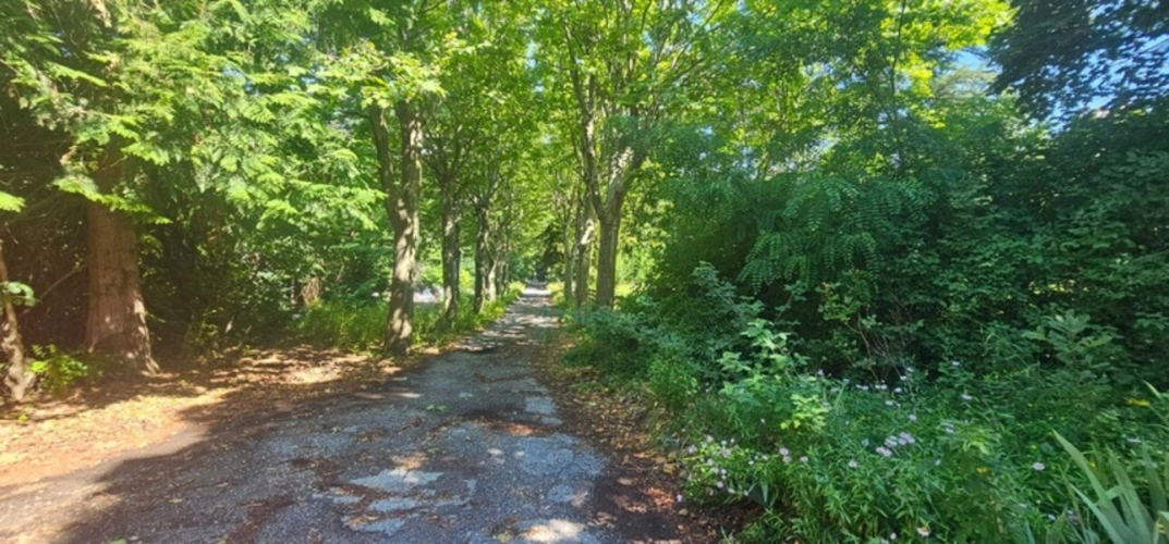 Photos 27 - Rurale - Propriété de 828m² sur 9045m² de terrain - Chorges