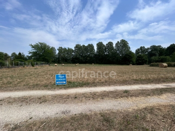 Photos 2 - Rurale - Terrain à vendre  COULAURES (24) 8637m²
