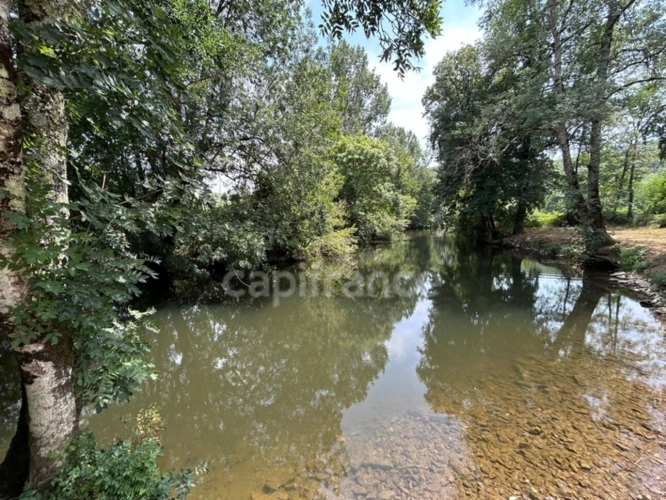 Photos 3 - Rurale - Terrain à vendre  COULAURES (24) 8637m²