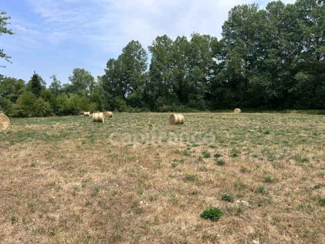 Photos 4 - Rurale - Terrain à vendre  COULAURES (24) 8637m²