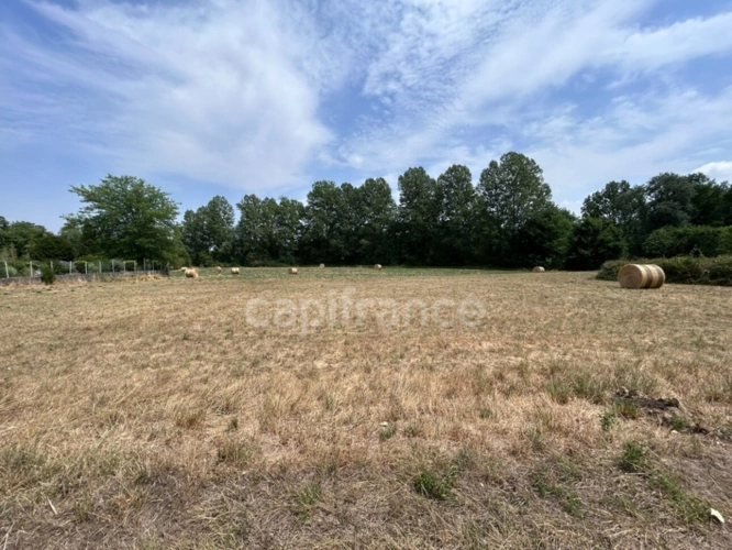 Photos 5 - Rurale - Terrain à vendre  COULAURES (24) 8637m²