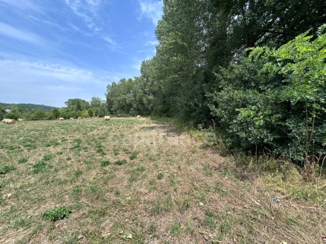 Photos 7 - Rurale - Terrain à vendre  COULAURES (24) 8637m²