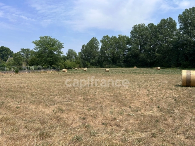 Photos 8 - Rurale - Terrain à vendre  COULAURES (24) 8637m²