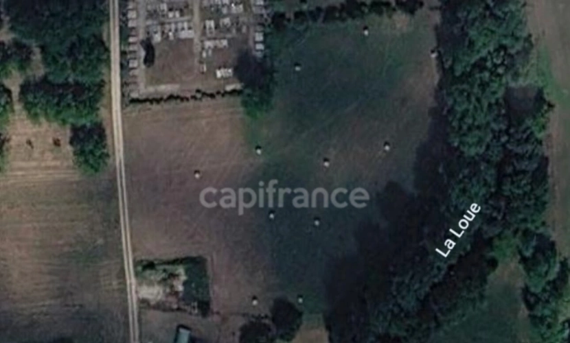 Photos 11 - Rurale - Terrain à vendre  COULAURES (24) 8637m²