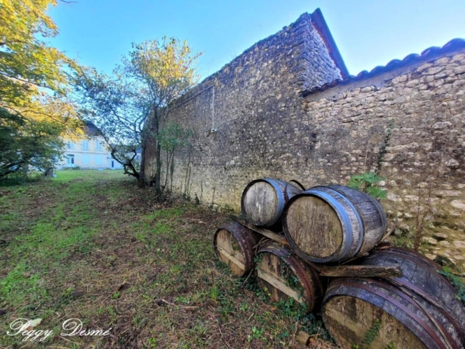 Photos 20 - Prestige - Propriété à vendre 14 pièces SAINT JEAN D'ANGELY (17) - Ancien domaine viticole, Bâti de 940 m2, Maison de maître, Dépendances