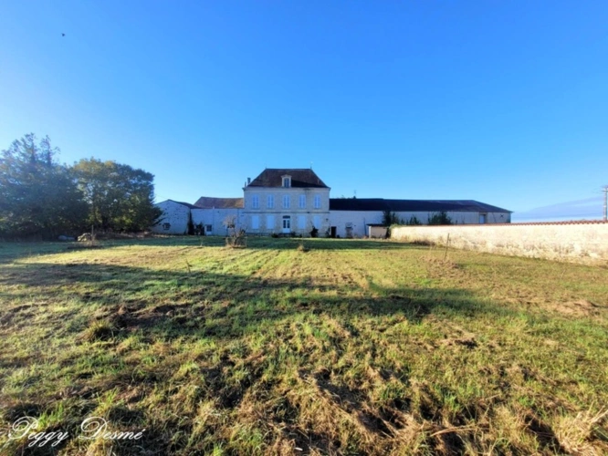 Photos 22 - Prestige - Propriété à vendre 14 pièces SAINT JEAN D'ANGELY (17) - Ancien domaine viticole, Bâti de 940 m2, Maison de maître, Dépendances