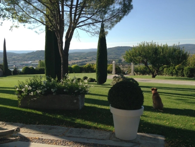 Photos 3 - Prestige - Domaine d'exception au cœur du Luberon