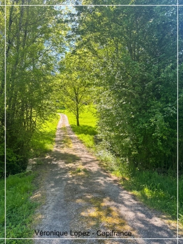 Photos 25 - Équestre - Golfech, à 10 minutes, propriété de charme au cœur de la nature sur plus de 15 hectares